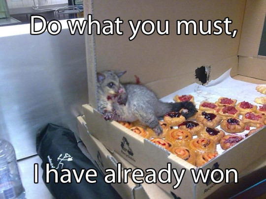 Completely accurate, besides the sweets, the possum, the cardboard box and scale Reenactment Of Kim Yuna's Involvement in the Sochi Olympics