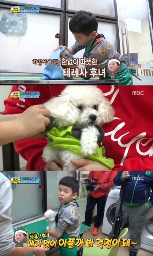 Yoon Hoo